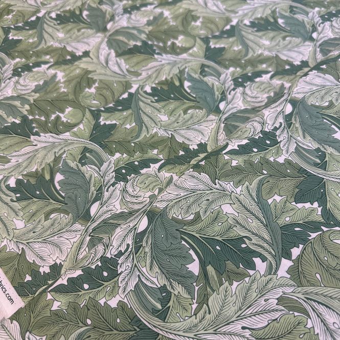 Hovedbilde Acanthus, Green
